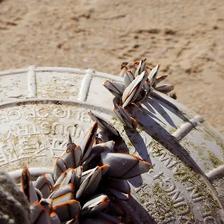 Bica, Luxury Heated Penthouse With Jacuzzi And Large Terrace In 公寓