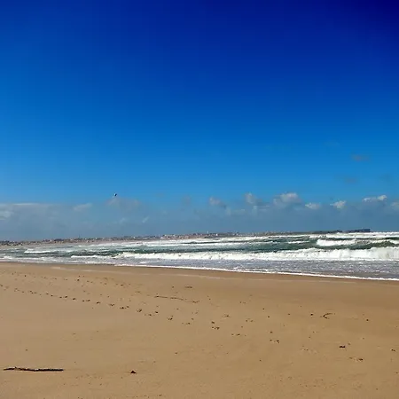 Bica, Luxury Heated Penthouse With Jacuzzi And Large Terrace In 公寓