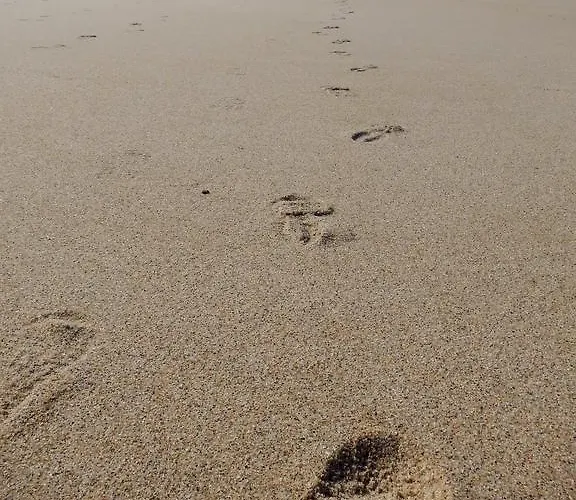 Bica Luxury Penthouse Daire *