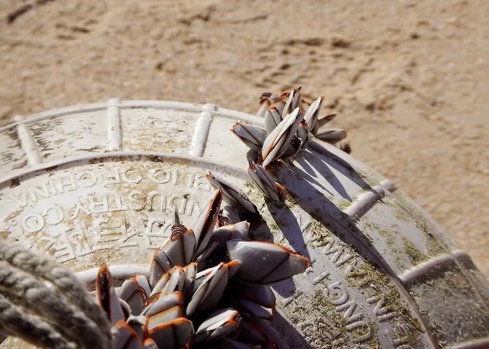 Bica, Luxury Heated Penthouse With Jacuzzi And Large Terrace In דירה